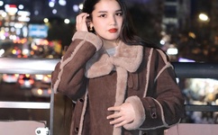 粉红色的火烈鸟下载